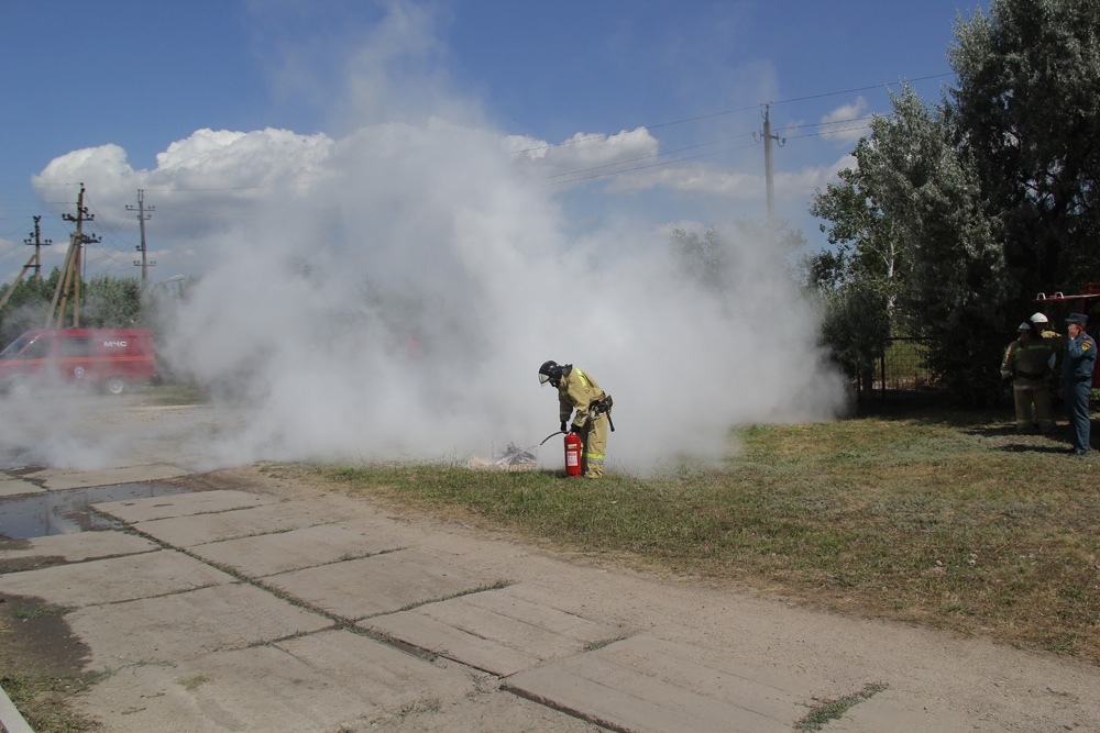 В Зуевке во время пожара на пшеничном поле спасена пшеница на площади 20 га – МЧС ДНР