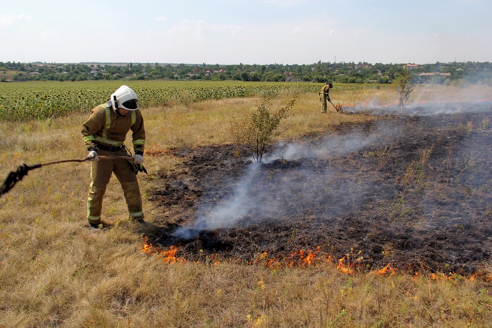 📹 📸 При возгорании сухой растительности 4 человека погибли и 11 травмированы – МЧС ДНР