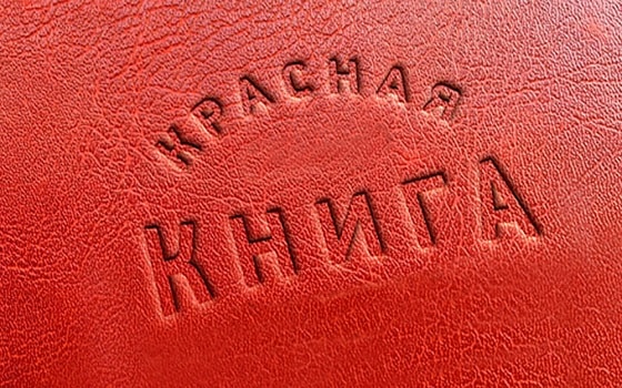 📹Народным Советом установлены правовые основы для учреждения Красной книги ДНР