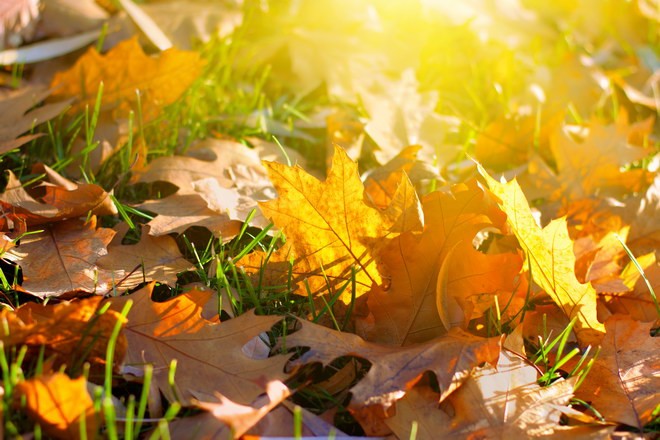 К концу недели в Республике ожидается похолодание — Гидрометцентр МЧС ДНР