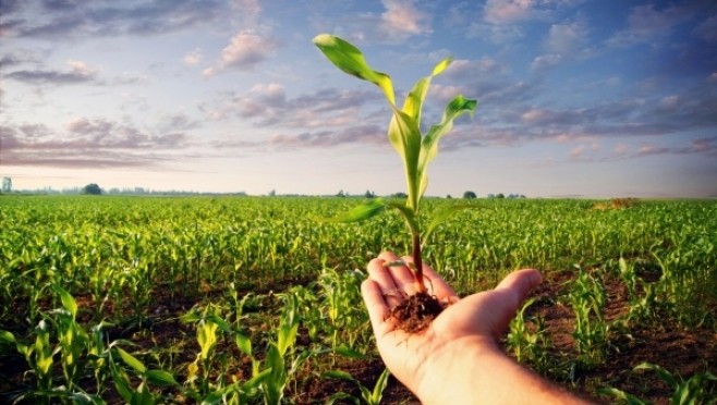 📹 Депутаты рассмотрели законопроект, направленный на развитие сельского хозяйства Республики