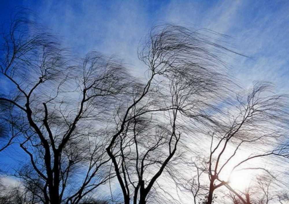 В Республике ожидается сильный ветер — Гидрометцентр МЧС ДНР