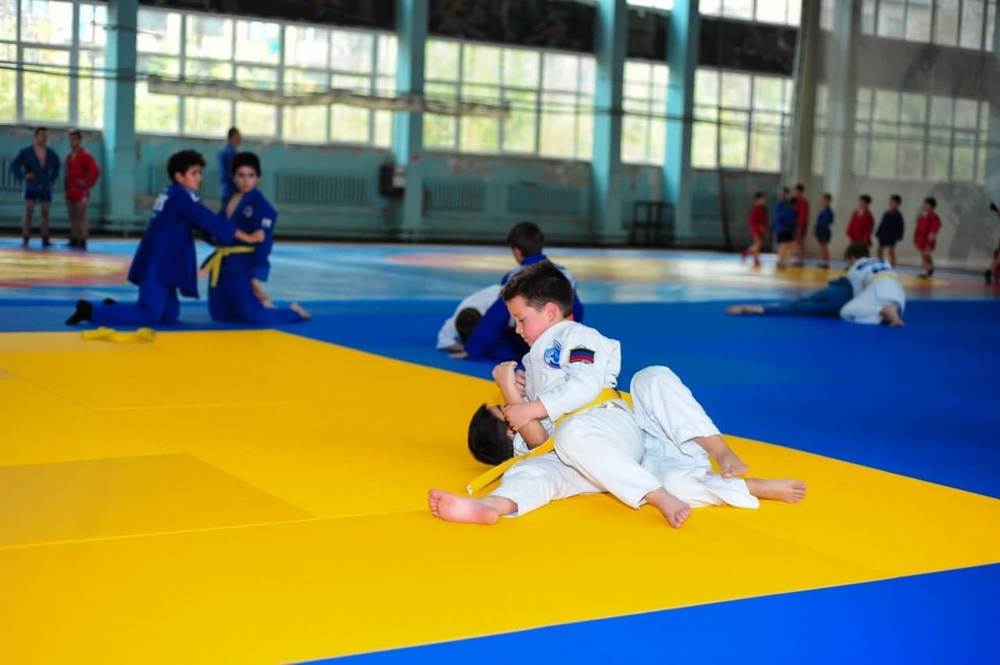 В Донецке состоятся Республиканские соревнования по борьбе самбо и боевому самбо