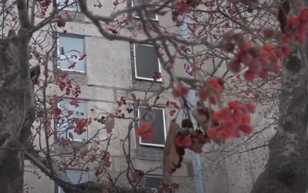 📹 В Енакиево обеспечили жильем граждан, пострадавших от агрессии ВФУ