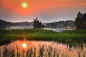 Установлен порядок осуществления мер по сохранению водных биоресурсов и среды их обитания