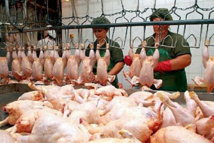В Республике будет заморожена цена на бройлерную мясопродукцию до 1 мая