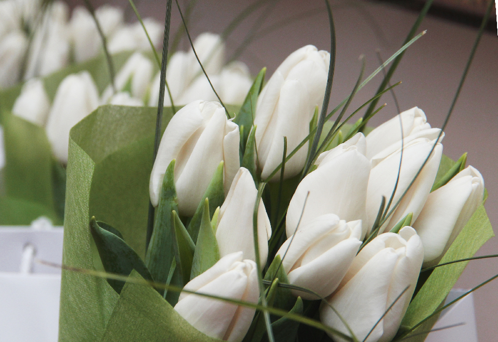 Поздравление Александра Ананченко с Международным женским днем