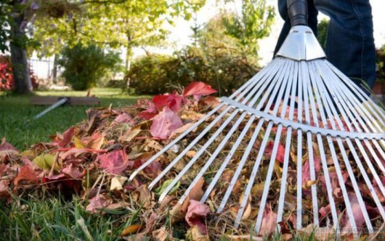 В Республике приступили к благоустройству населенных пунктов