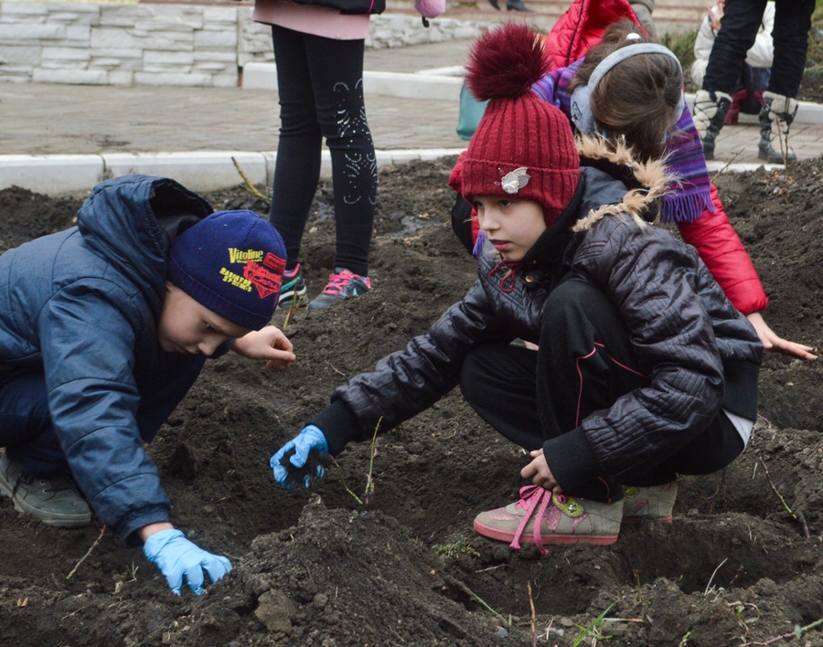 📸📹В Донецке провели общереспубликанский субботник