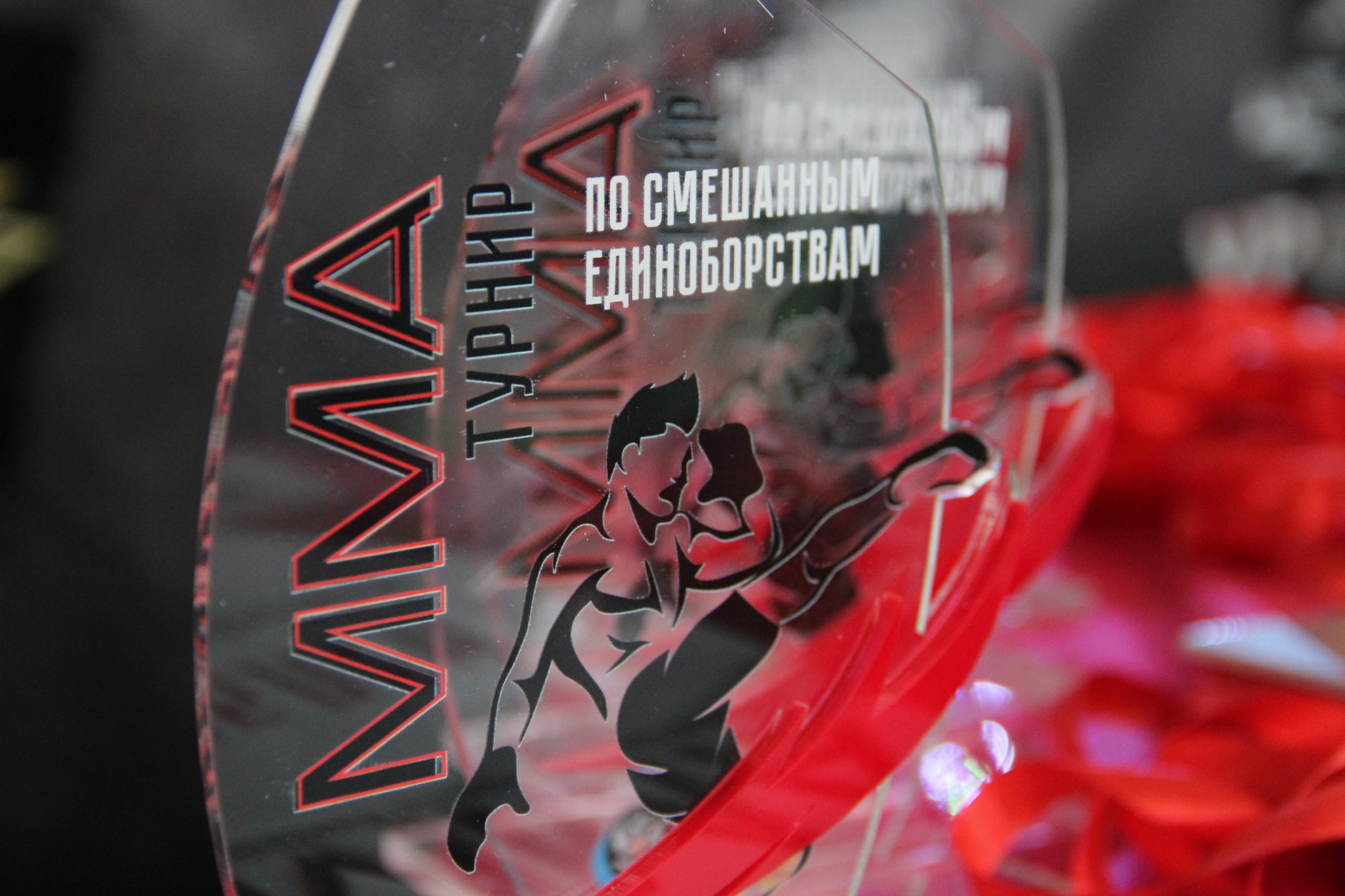 Народная дружина провела турнир по смешанным единоборствам