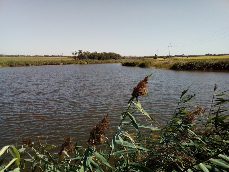 Правительством принят ряд важных постановлений в сфере экологии