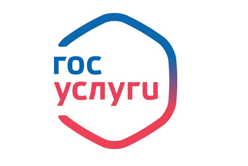 Для жителей нашей Республики возможность регистрироваться на сайте «Госуслуги» стала настоящим спасением — Владислав Бердичевский