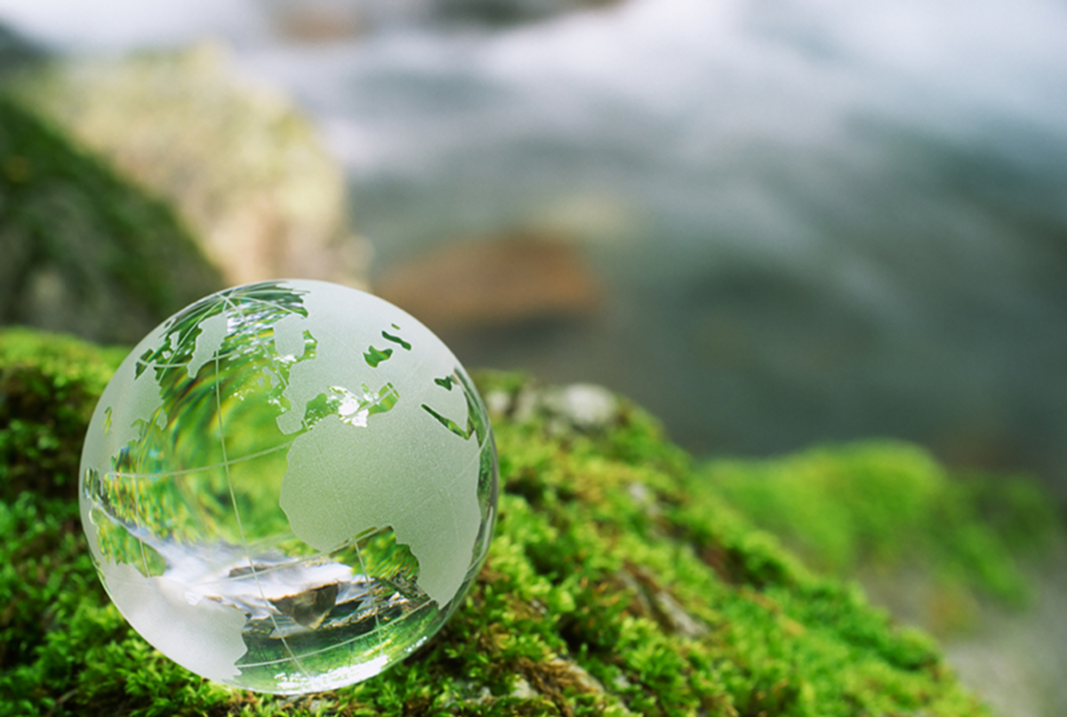 Поздравление Александра Ананченко с Днем эколога