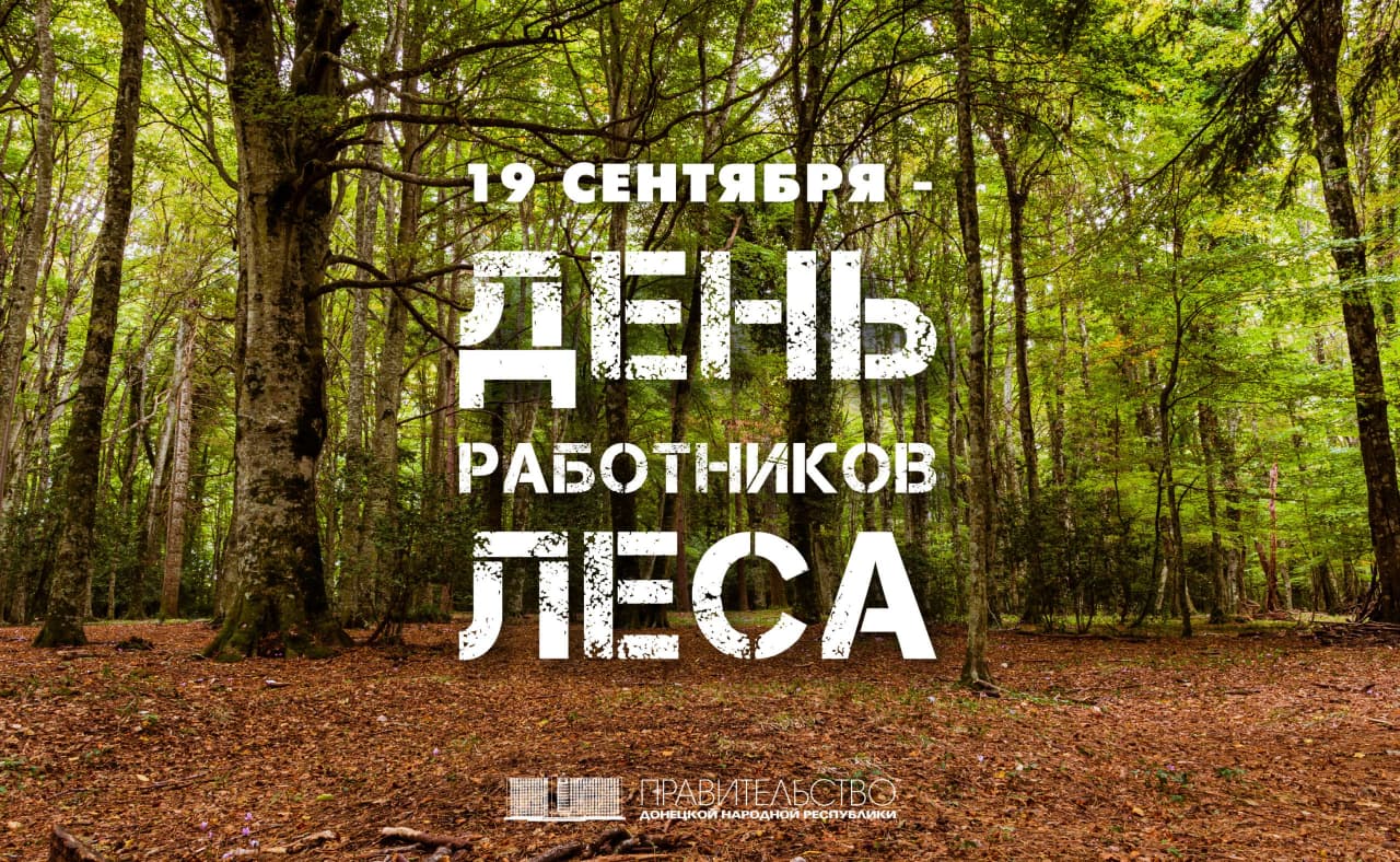 Александр Ананченко поздравил работников лесного хозяйства с профессиональным праздником