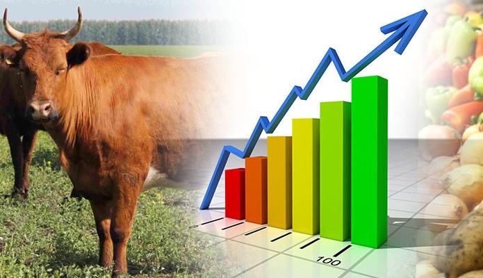 В Республике увеличился объем экспорта агропромышленной продукции