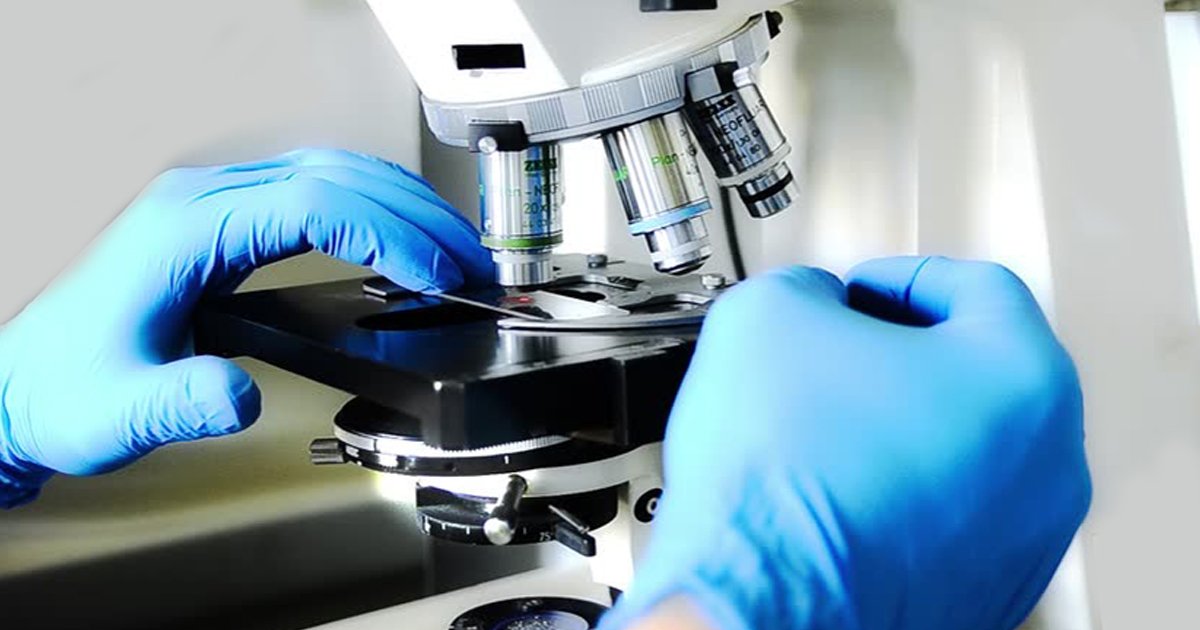 Поздравление Александра Ананченко с Днём судебно-медицинского эксперта