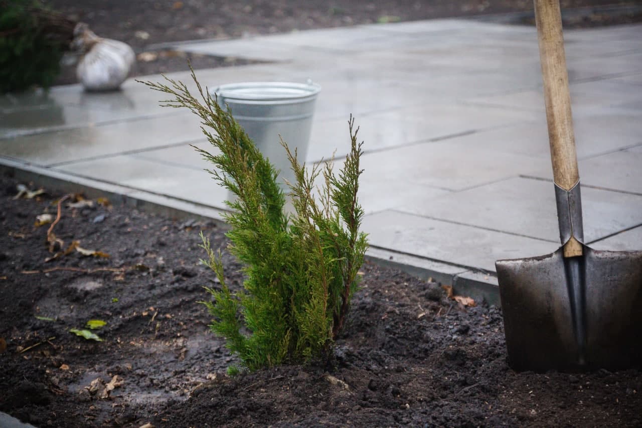 📹📸 В Макеевке появился сквер Народного единства