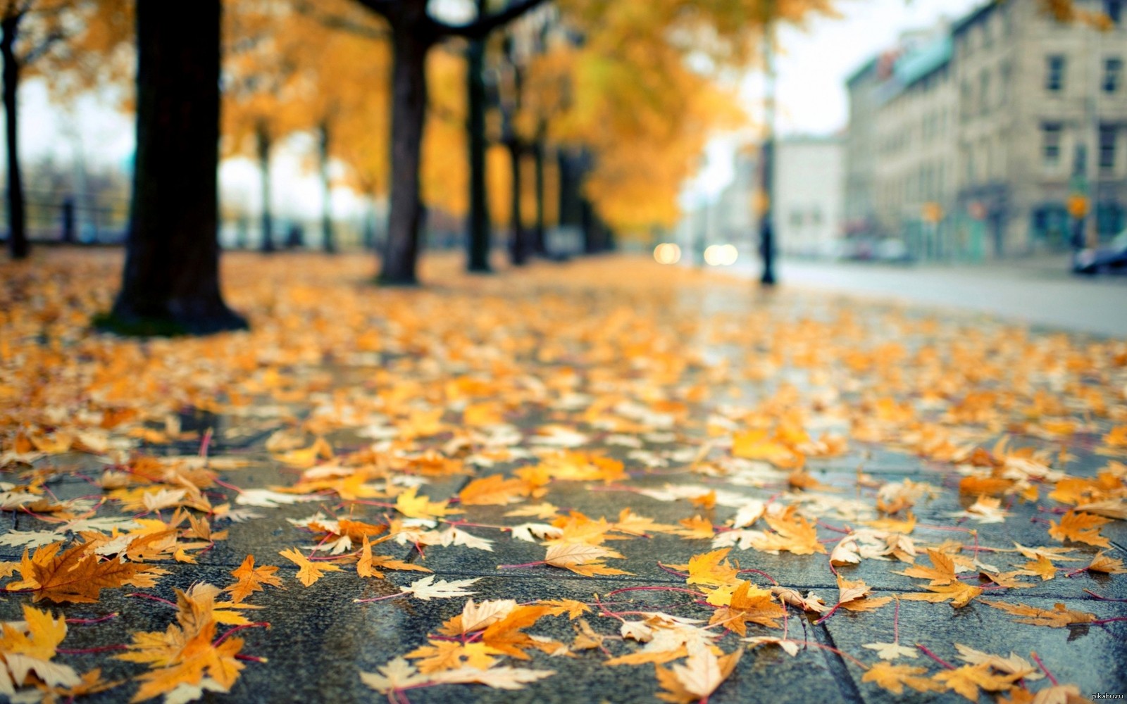 Неделя в Республике пройдет преимущественно без осадков