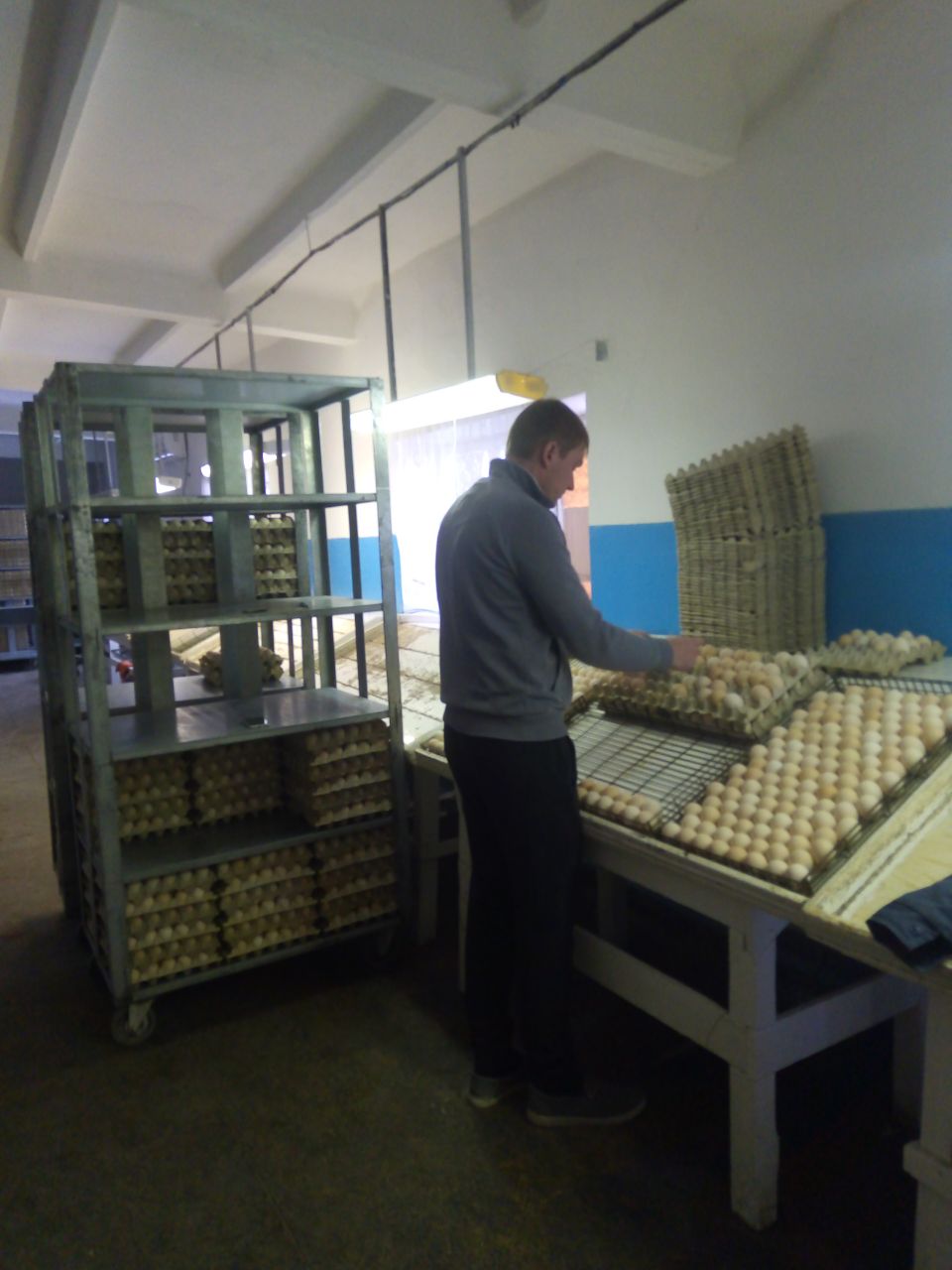 Специалисты Минагропрома посетили одну из птицефабрик ДНР