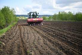 Амвросиевские аграрии перевыполнили план по высадке картофеля и севу некоторых сельхозкультур