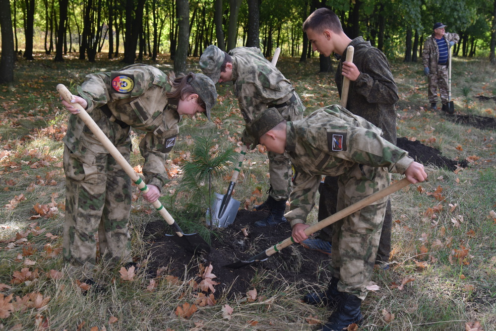 В парке имени Александра Захарченко появится кедровая роща