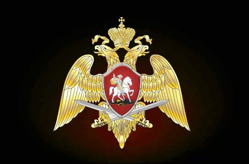 Более 15 тысяч владельцев оружия поставила на учет Росгвардия в ДНР