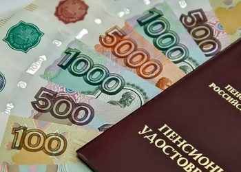 Самозанятые в ДНР могут самостоятельно формировать будущую пенсию