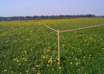 Льготные категории граждан могут получить земельные участки