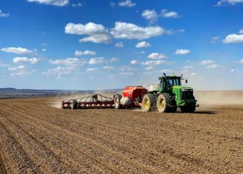 В ДНР продолжается посевная озимых культур