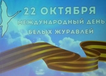 Мининфо ДНР организовало памятное мероприятие к Международному дню «Белых журавлей»