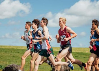 В ДНР разработают стратегию формирования основ здорового образа жизни