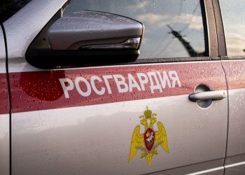 Более 20 килограмм взрывчатых веществ обнаружили бойцы спецназа Росгвардии в ДНР