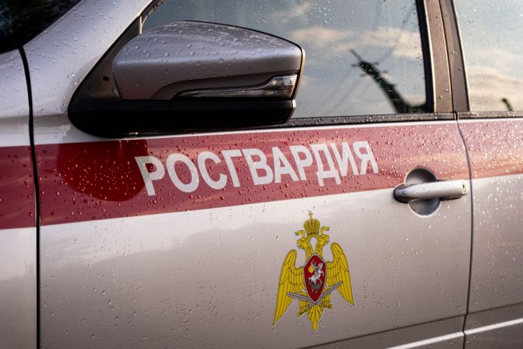 Более 20 килограмм взрывчатых веществ обнаружили бойцы спецназа Росгвардии в ДНР
