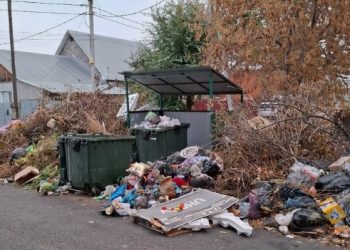Глава ДНР поручил решить вопрос с несанкционированными свалками