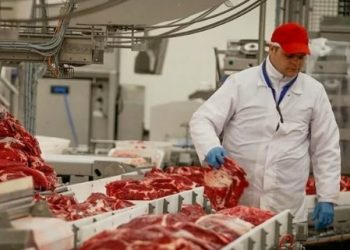 Пищевые предприятия получат субсидии от государства