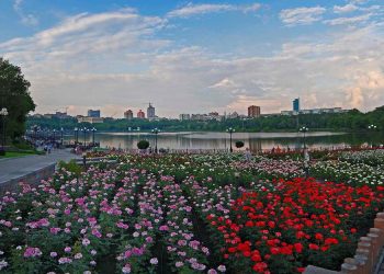 Озеленению населенных пунктов Республики уделят особое внимание