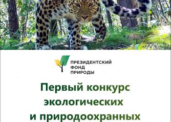 Стартует первый конкурс Президентского фонда природы