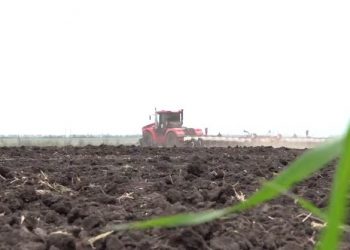 Площадь пахотных земель в Республике увеличилась в два раза