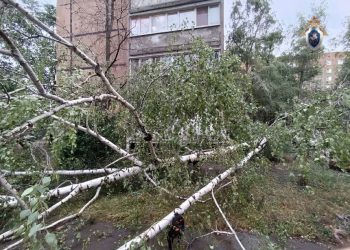 Пушилин поручил в кратчайшие сроки ликвидировать последствия непогоды