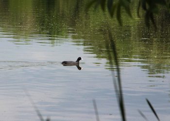 Глава ДНР поручил восполнить запасы водохранилищ