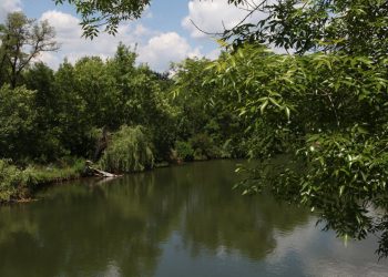 Эксперты оценят состояние каждого водного объекта республики