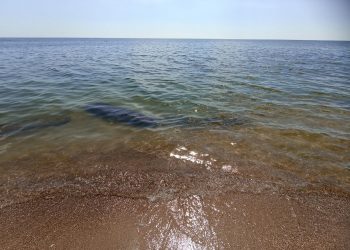 Опреснение морской воды для республики нецелесообразно