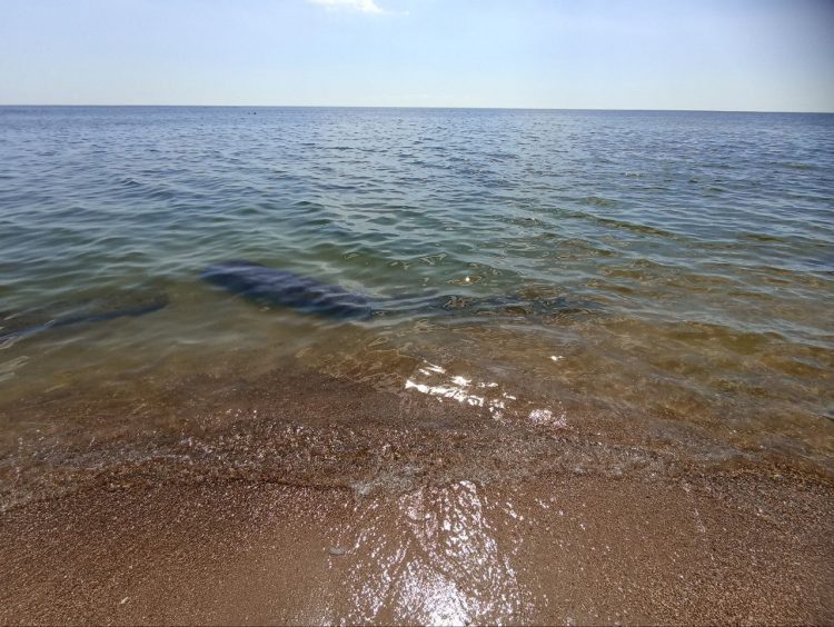 Опреснение морской воды для республики нецелесообразно