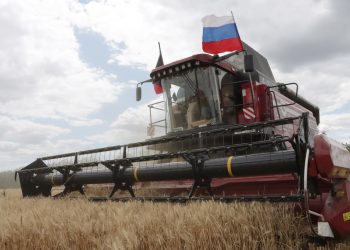 В ДНР завершается уборочная кампания