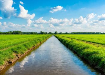 В ближайшее время начнется ревизия части канала Северский Донец-Донбасс