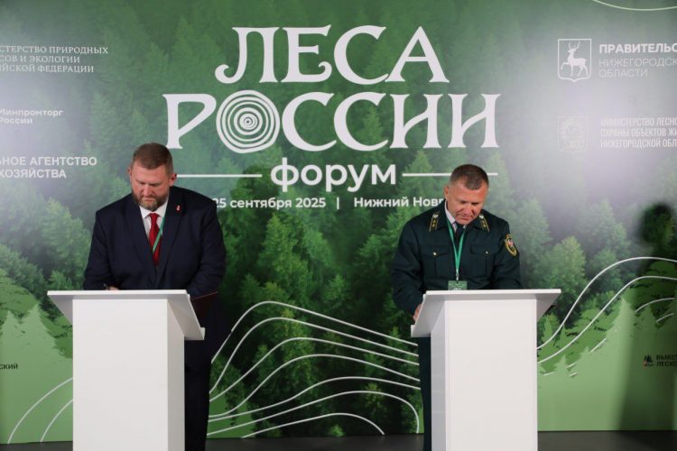 ДНР и Пермский край заключили соглашение о сотрудничестве на форуме «Леса России»