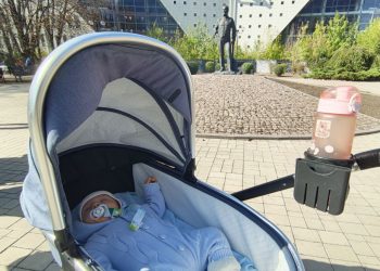 От чего зависит дата подачи заявления на единое пособие?