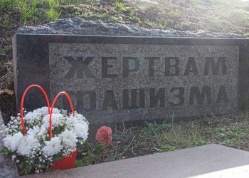 В Донецке отметили День белых журавлей