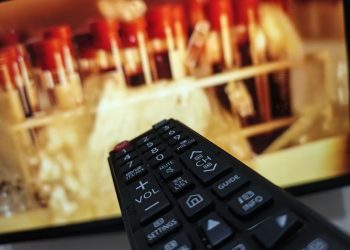 Жители ДНР могут присоединиться к проекту «Русский мир»