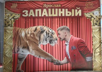 В Донецке продолжаются осенние гастроли Росгосцирка